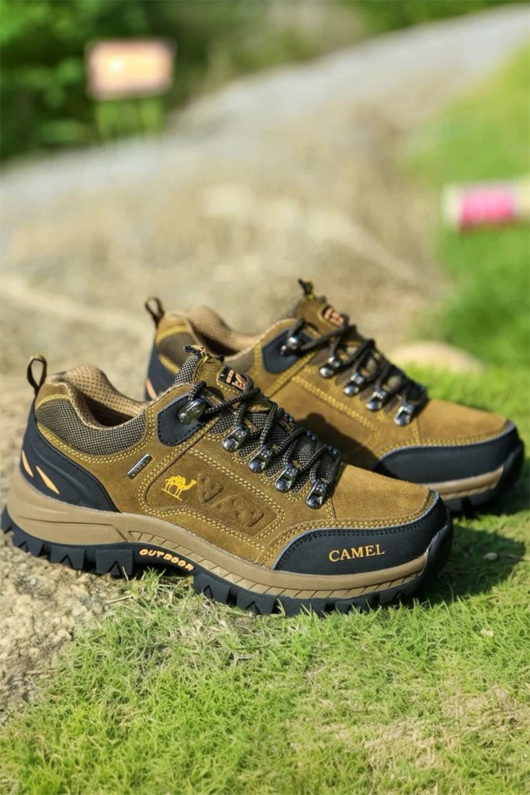 RAINER WANDELSCHOENEN